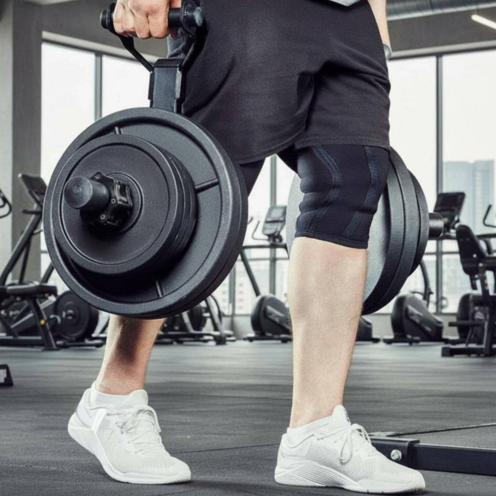 Multi-size Barbell Plate Holde - Fitness Equipment 评论和价格