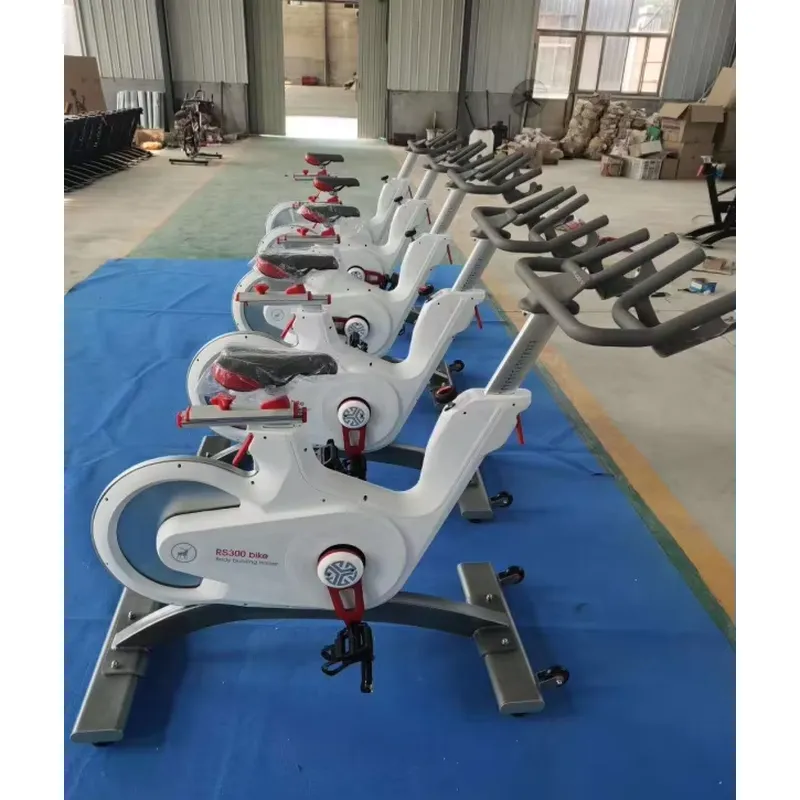 Professional Magnetic Resistan - Exercise Bike Magnetic Resistance 评论和价格