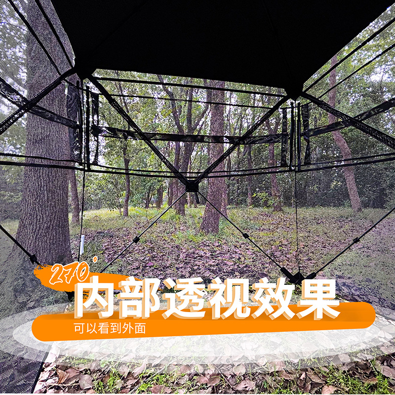 Outdoor 2-3 Person Automatic C - Camping 评论和价格
