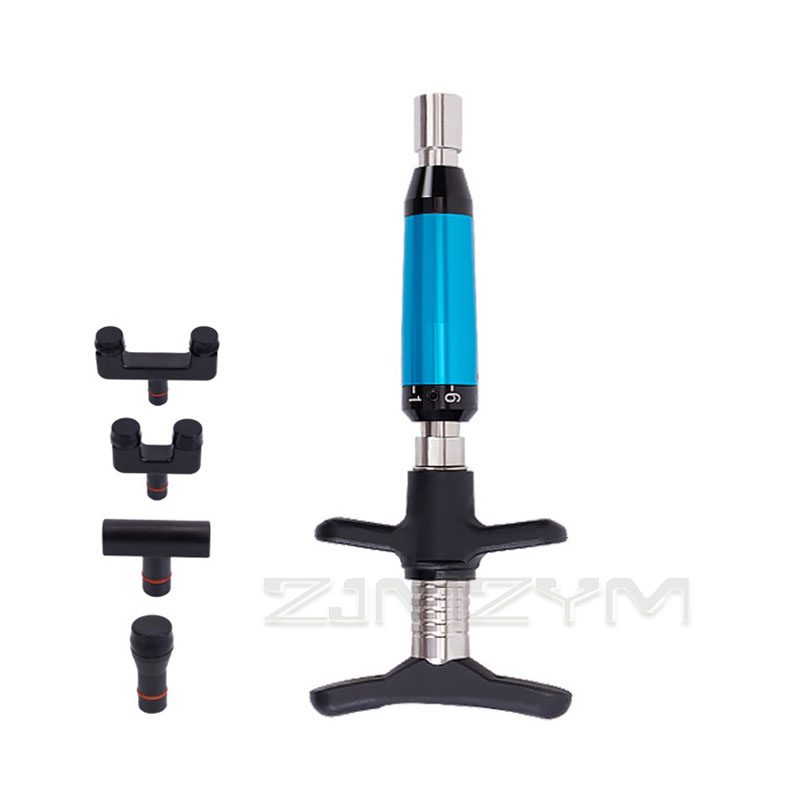Manual Chiropractic Spinal Act - Electric Massage Gun Deep Tissue 评论和价格