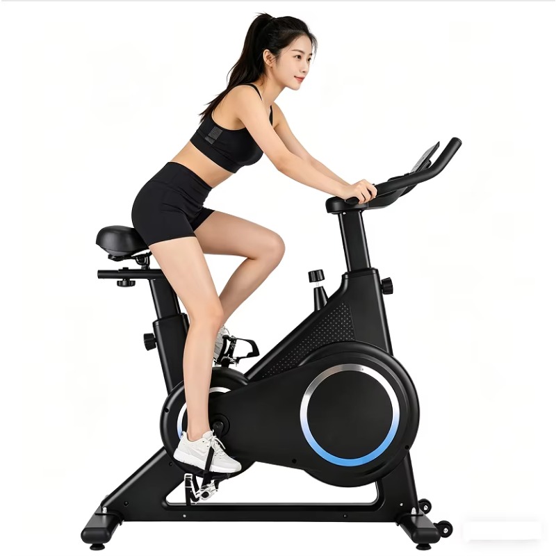 Magnetic Resistance Spinning B - Exercise Bike Magnetic Resistance 评论和价格