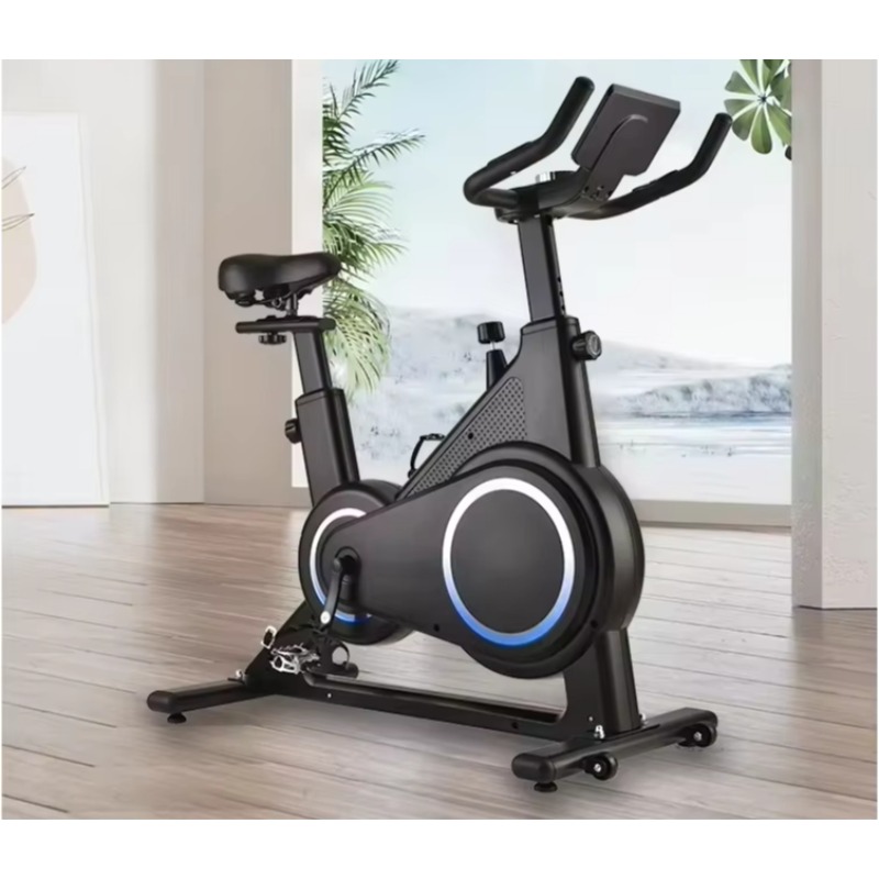 Magnetic Resistance Spinning B - Exercise Bike Magnetic Resistance 评论和价格