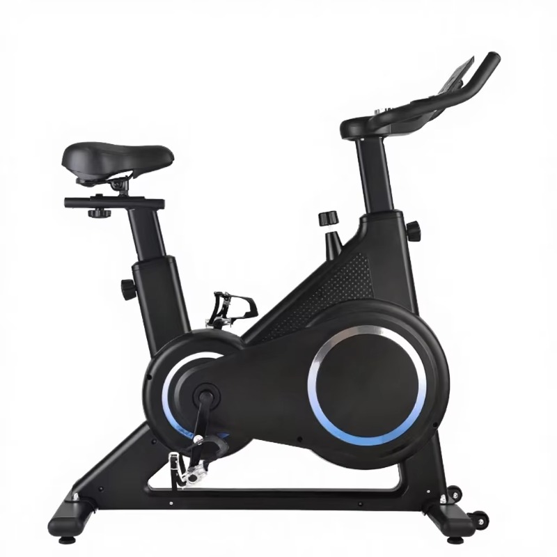 Magnetic Resistance Spinning B - Exercise Bike Magnetic Resistance 评论和价格
