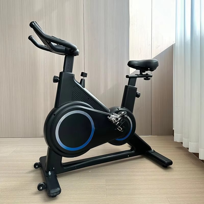 Magnetic Resistance Spinning B - Exercise Bike Magnetic Resistance 评论和价格