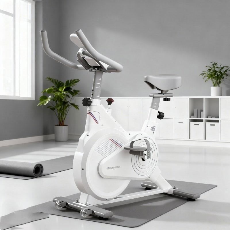 Indoor Stationary Spin Bike, S - Exercise Bike Magnetic Resistance 评论和价格
